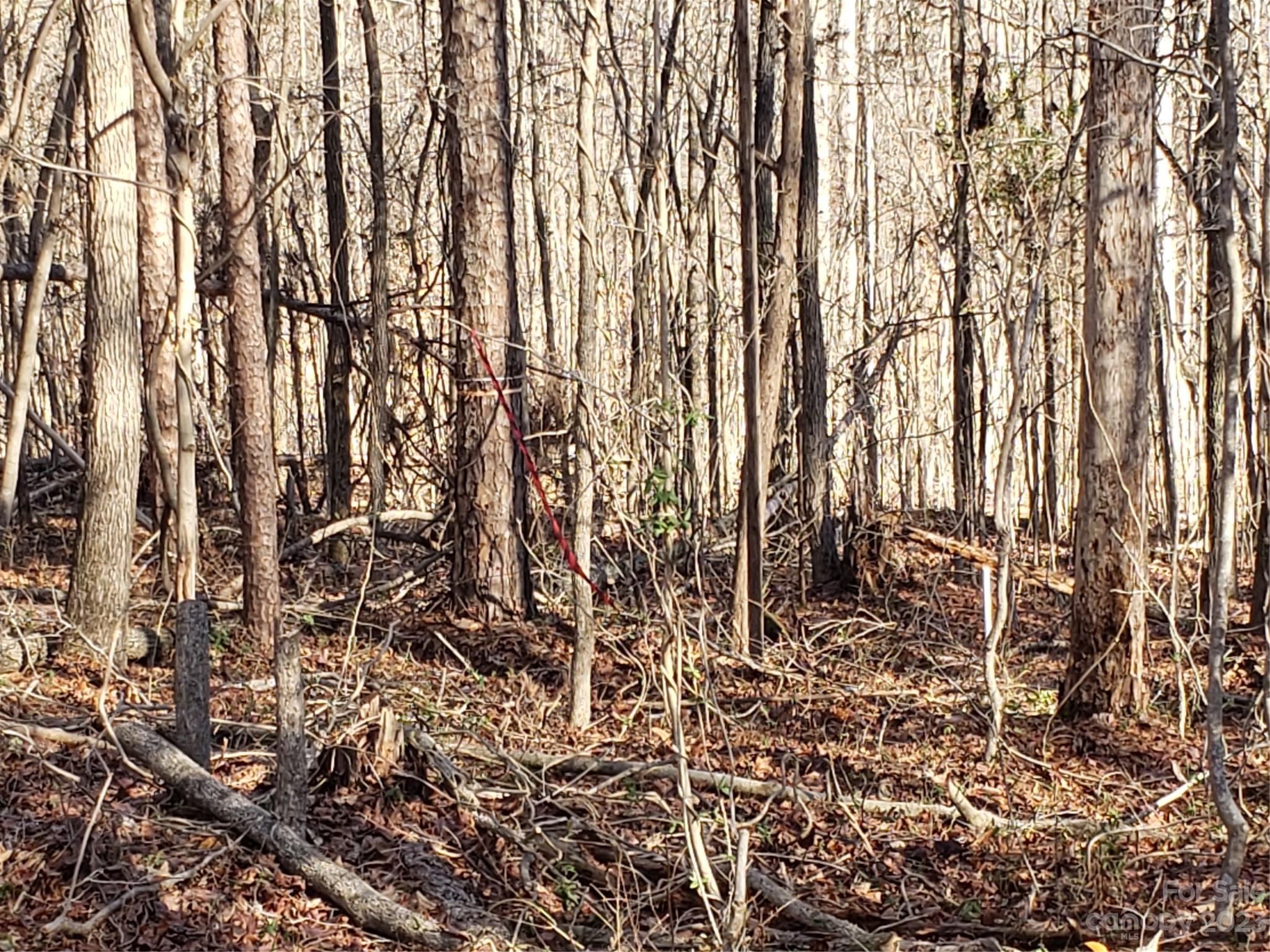 13370 Cabarrus Station Road Midland, NC 28107 - Photo 18 of 20 Gallery Image 18
