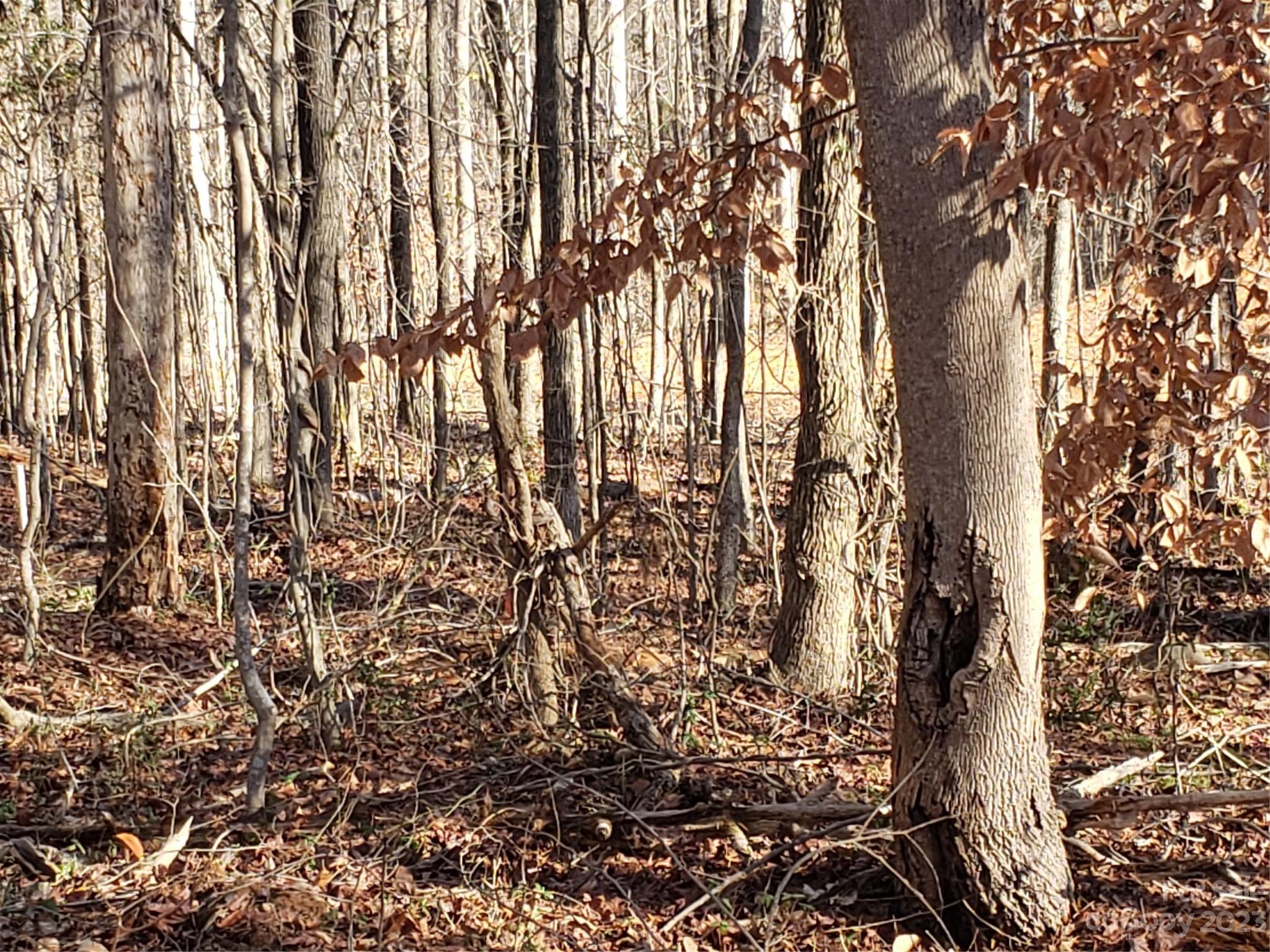 13370 Cabarrus Station Road Midland, NC 28107 - Photo 19 of 20 Gallery Image 19