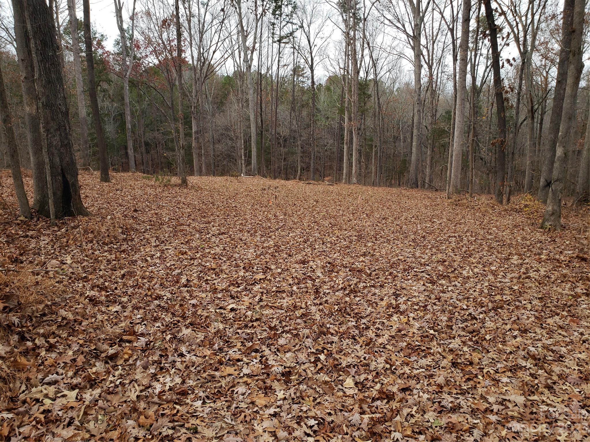 13370 Cabarrus Station Road Midland, NC 28107 - Photo 6 of 20 Gallery Image 6