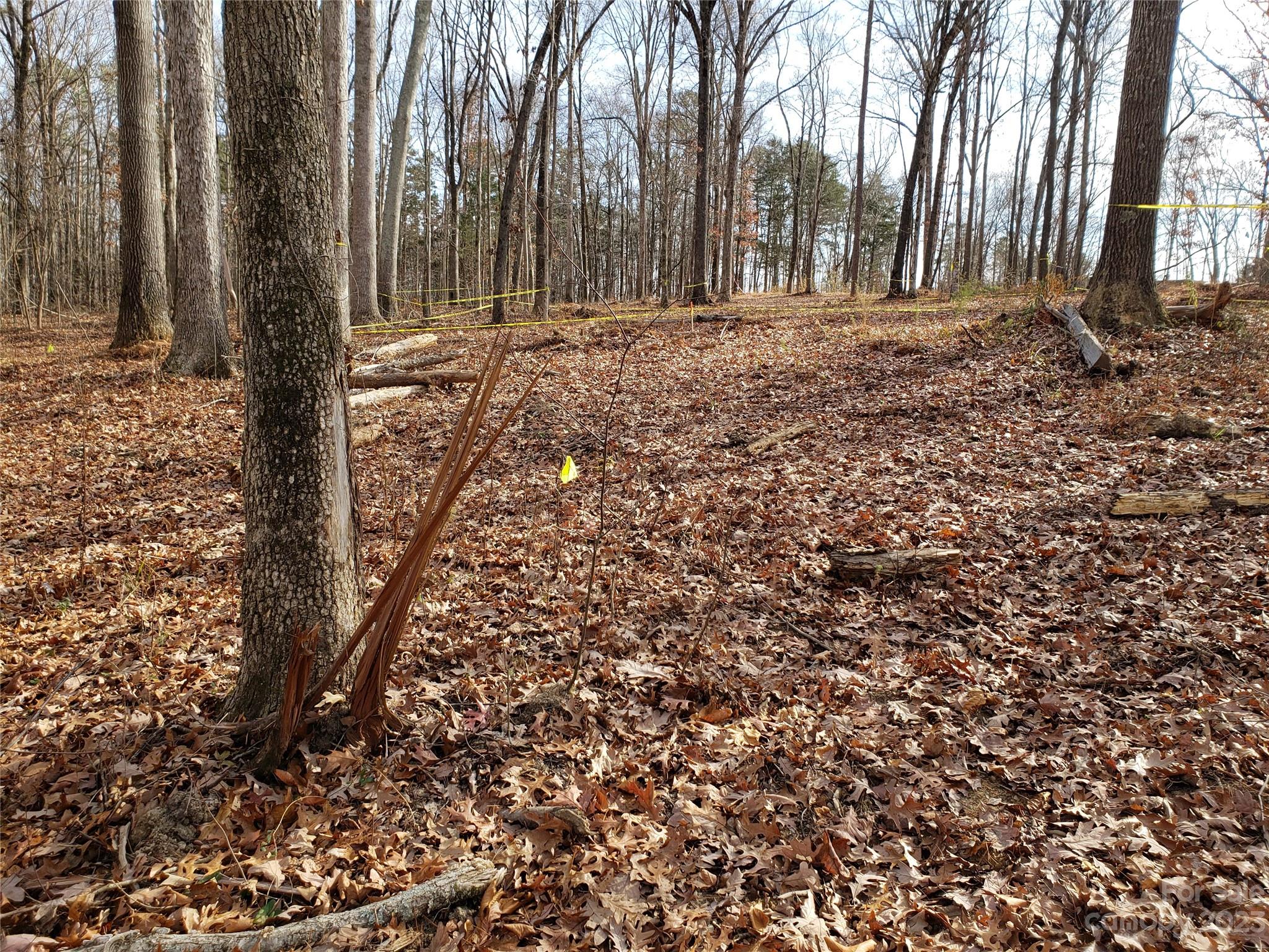 13370 Cabarrus Station Road Midland, NC 28107 - Photo 10 of 20 Gallery Image 10