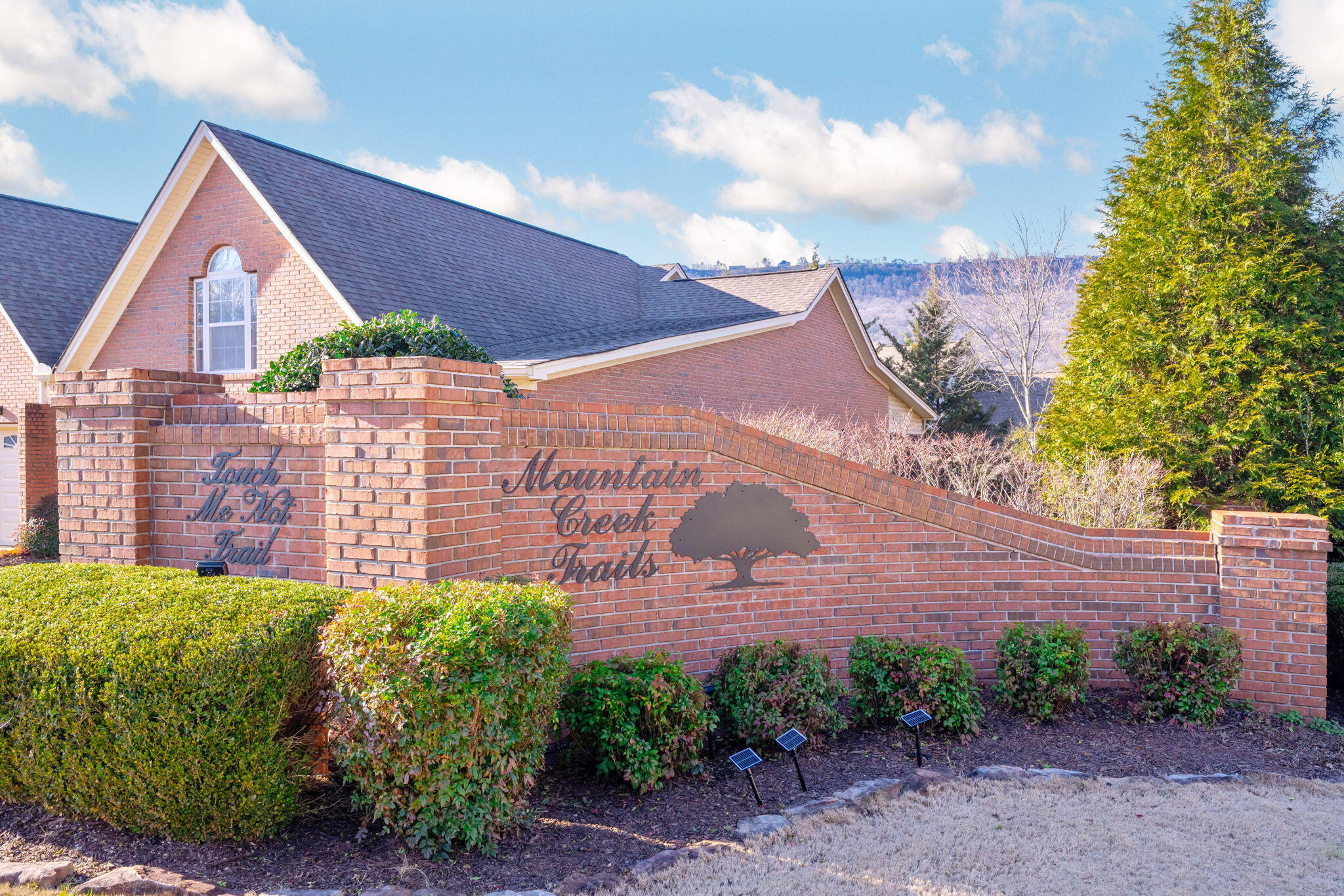 4571 Touch-Me-Not Trail Chattanooga, TN 37415 - Photo 3 of 38 36-web-or-mls-DSC_7879