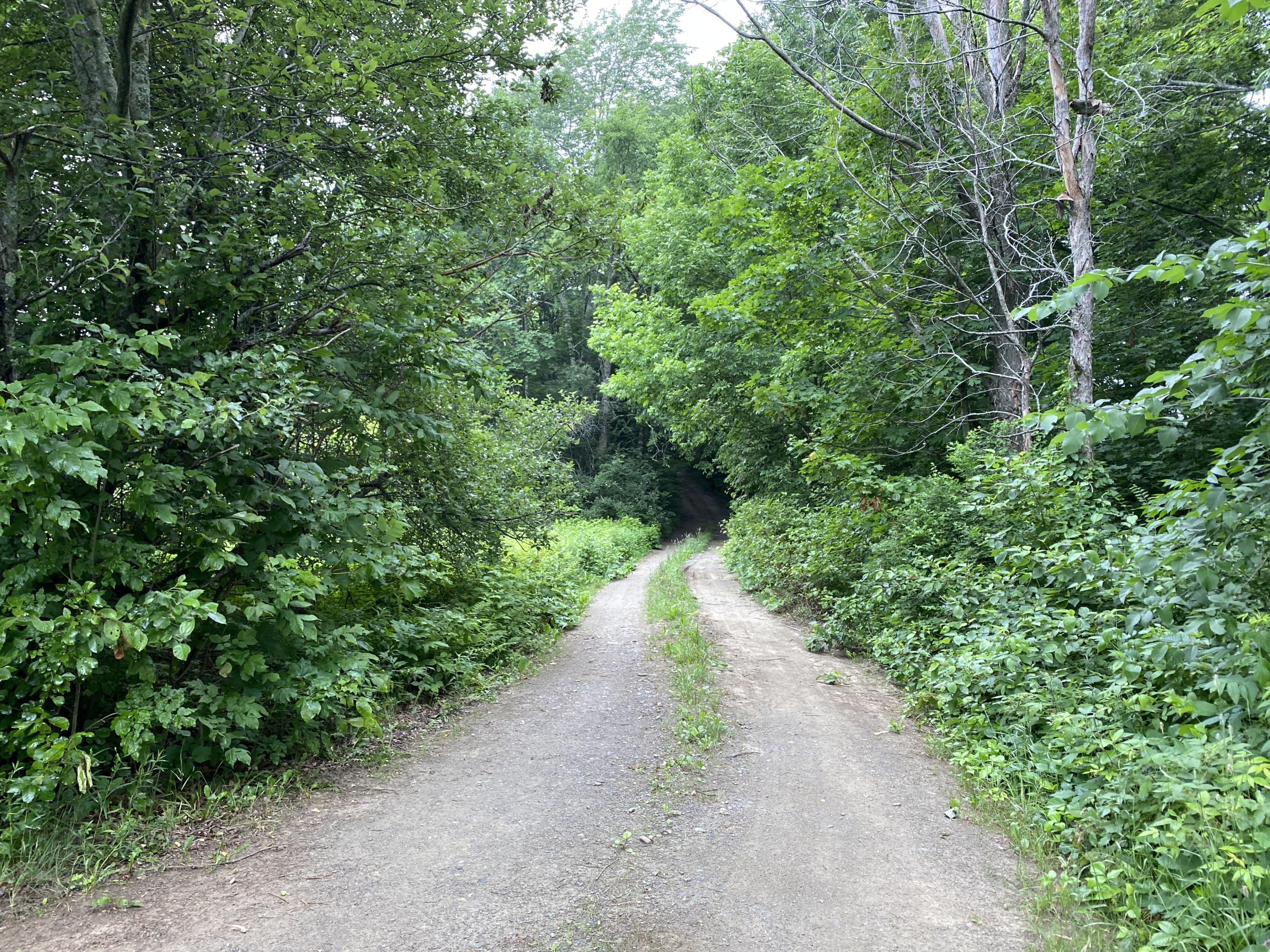 0 Hwy 15 Dover Road Charleston, ME 04422 - Photo 12 of 20 IMG_1384