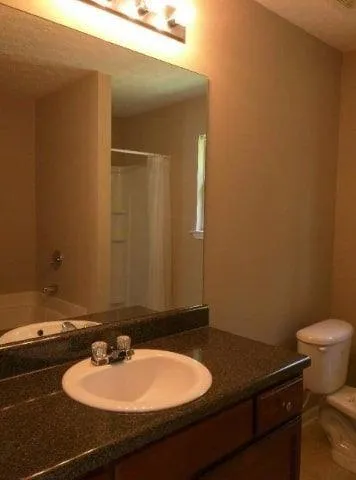 a bathroom with a sink and a toilet