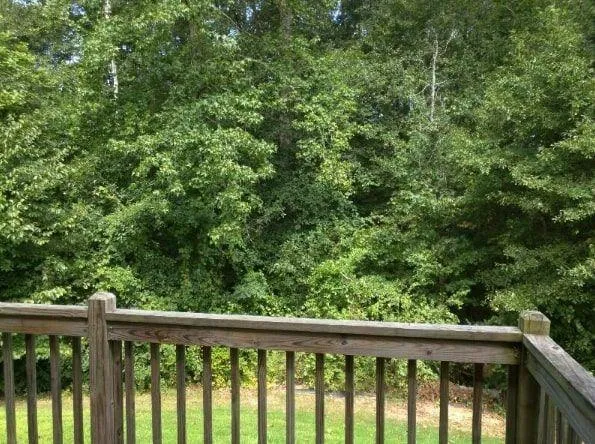 a view of yard with green space