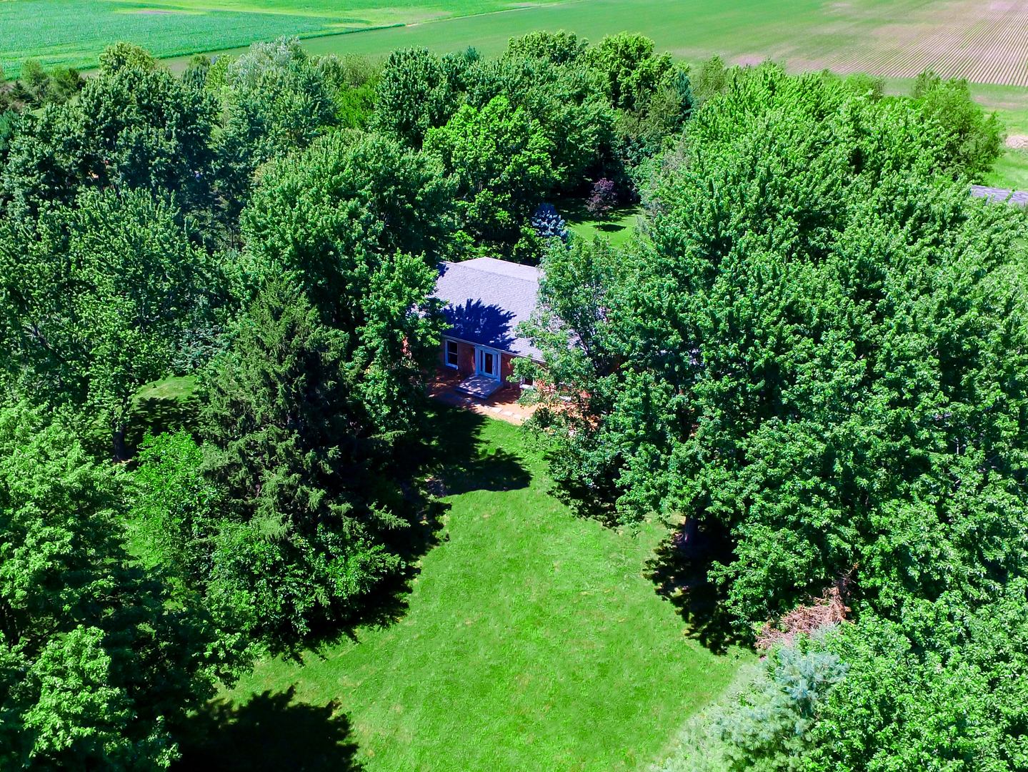 1870 Scully Road Dwight, IL 60420 - Photo 1 of 29 a view of a garden with plants and large trees