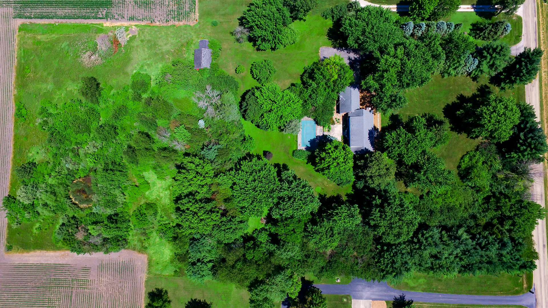 1870 Scully Road Dwight, IL 60420 - Photo 18 of 29 a view of a garden