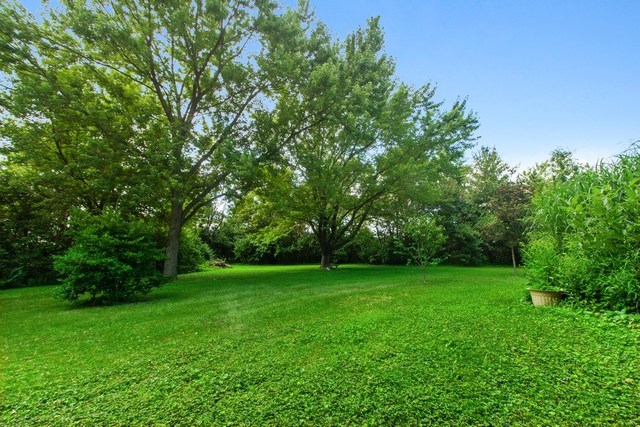 1870 Scully Road Dwight, IL 60420 - Photo 28 of 29 a view of a green field with trees in the background