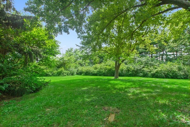 1870 Scully Road Dwight, IL 60420 - Photo 29 of 29 a view of a lush green space
