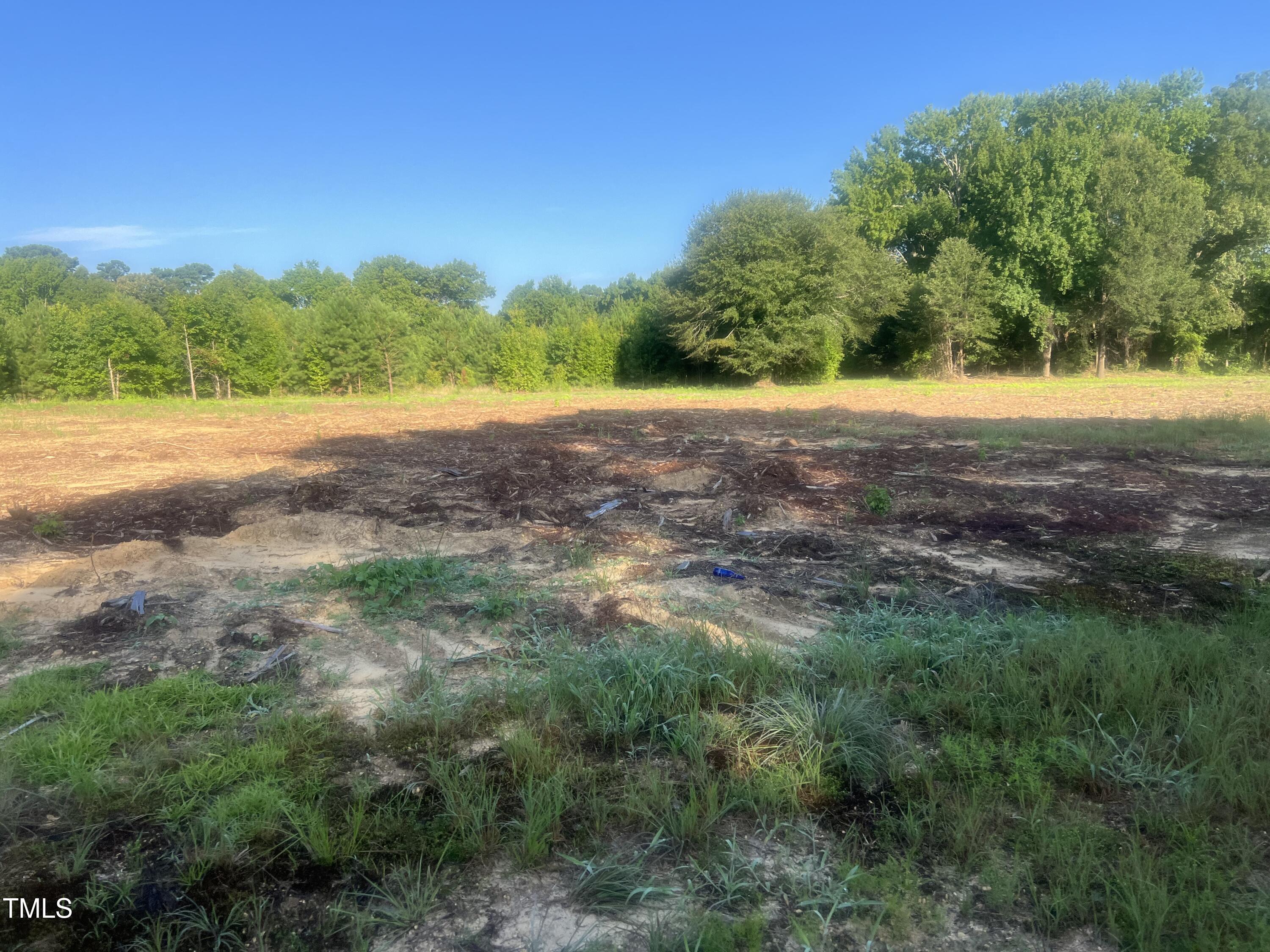 6457 Elevation Road Benson, NC 27504 - Photo 12 of 13 a view of yard with green space