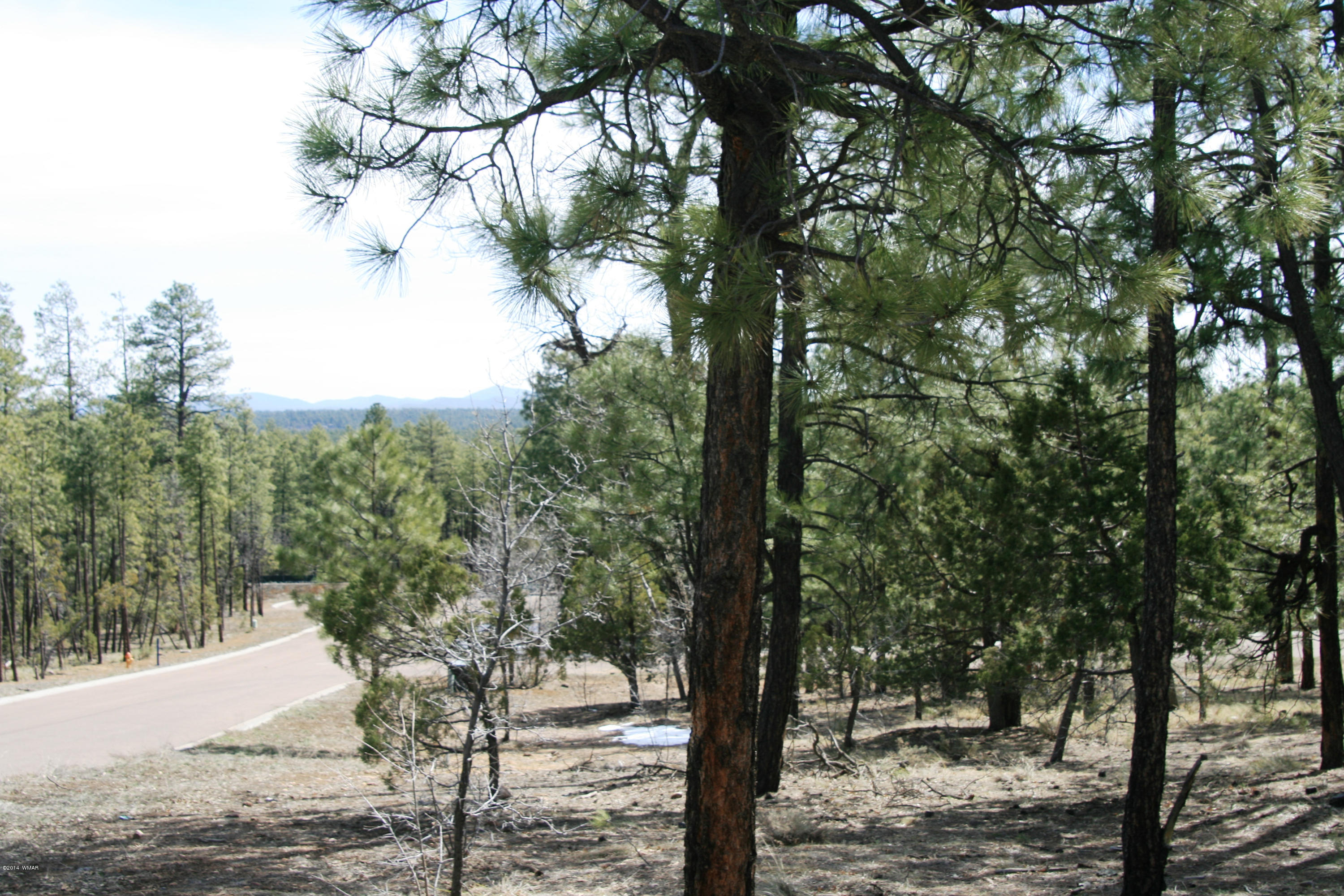 2329 Aspen Run Pinetop, AZ 85935 - Photo 2 of 5