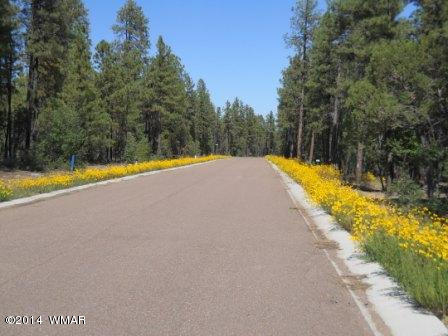 2329 Aspen Run Pinetop, AZ 85935 - Photo 3 of 5