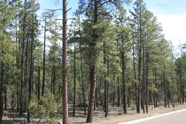 2329 Aspen Run Pinetop, AZ 85935 - Photo 5 of 5