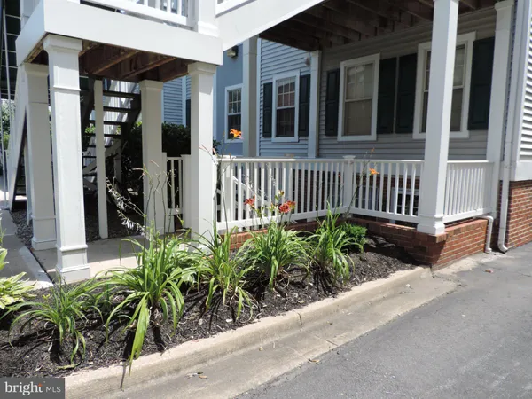 a potted plant sitting in front of a building