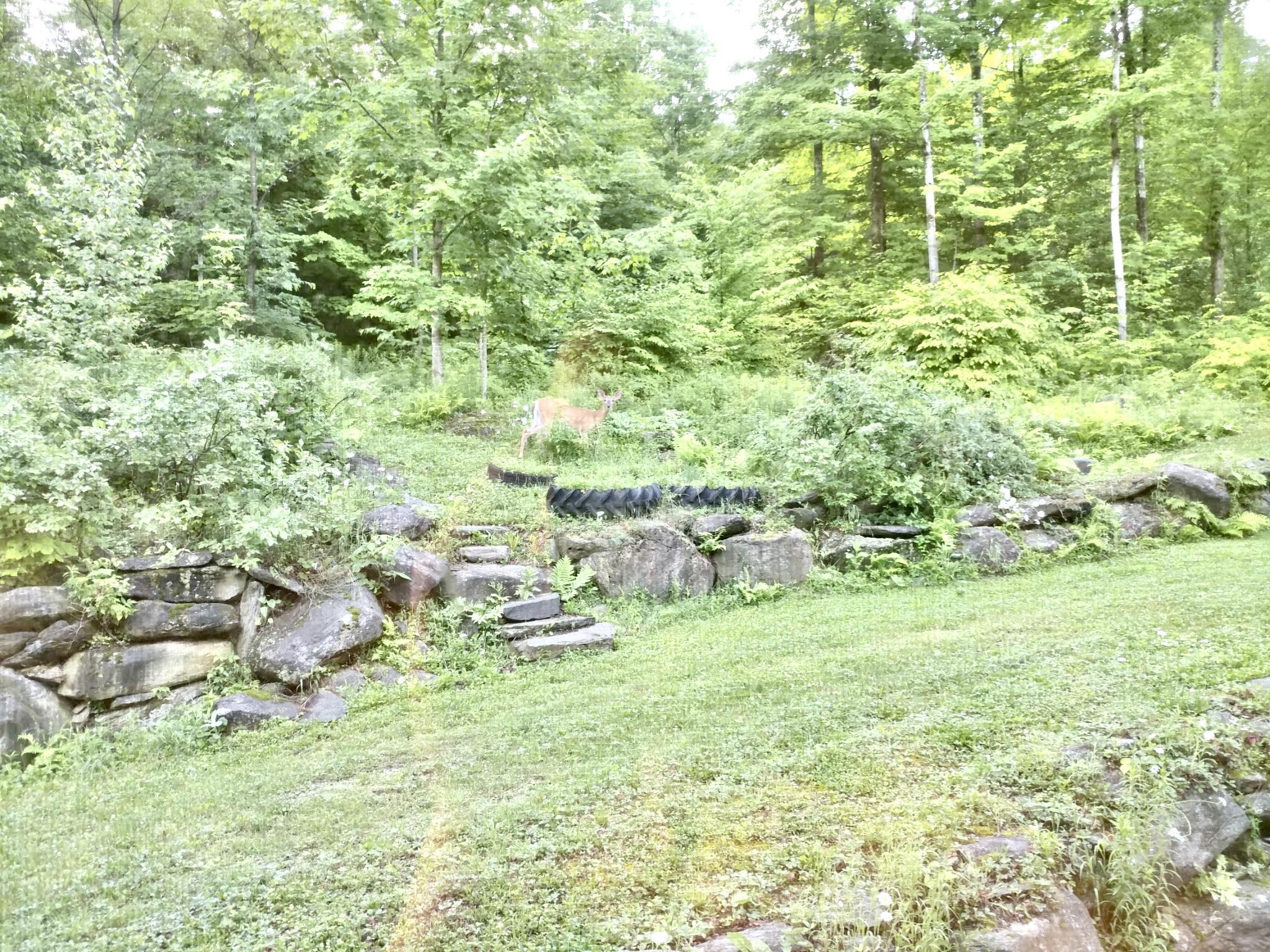 1207 Iron Gate Road Cambridge, VT 05444 - Photo 47 of 60