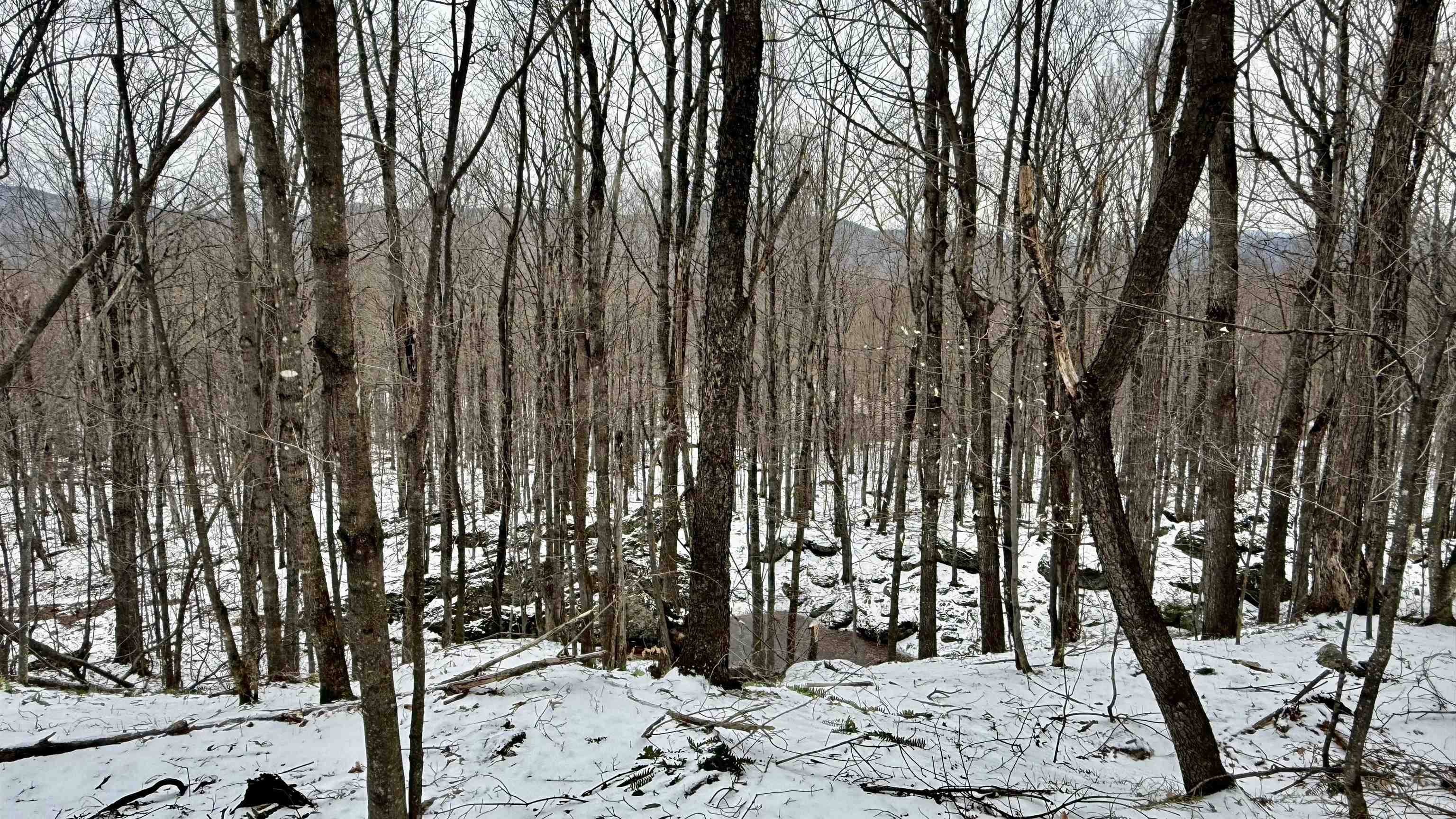 1207 Iron Gate Road Cambridge, VT 05444 - Photo 52 of 60