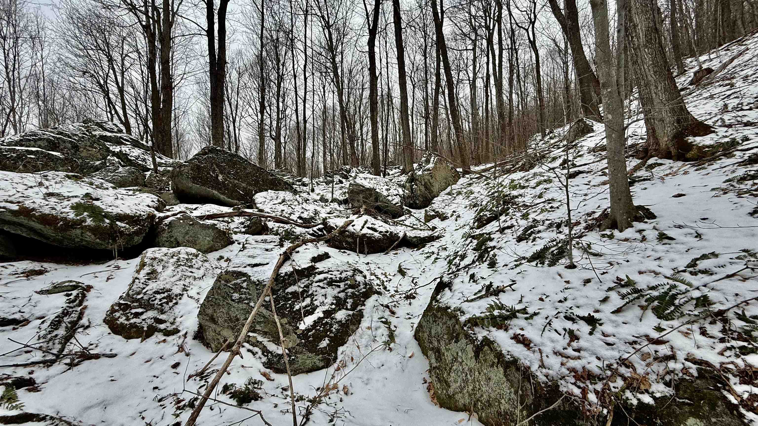 1207 Iron Gate Road Cambridge, VT 05444 - Photo 53 of 60