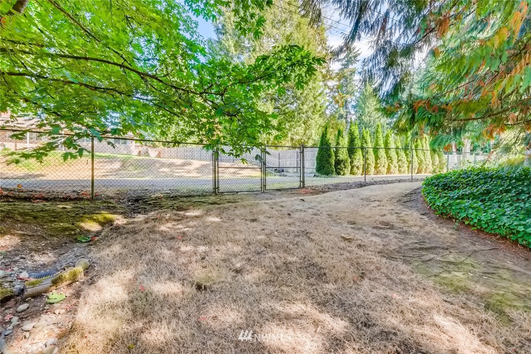 1823 224th Street Southwest Bothell, WA 98021 - Photo 12 of 27 a view of backyard with tree