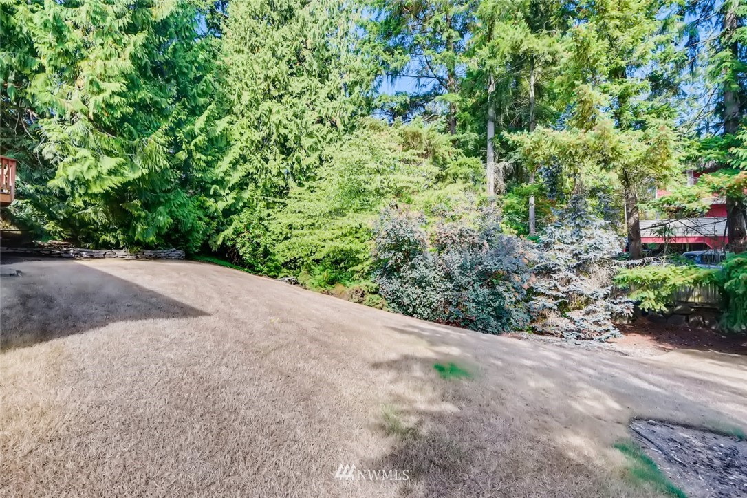 1823 224th Street Southwest Bothell, WA 98021 - Photo 8 of 27 a view of a garden with plants and a trees