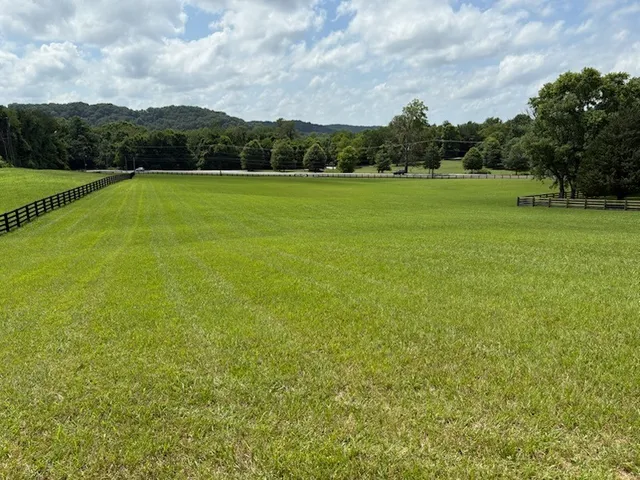 a view of a green field with clear sky