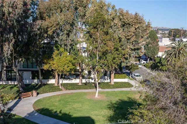 a view of yard with tree