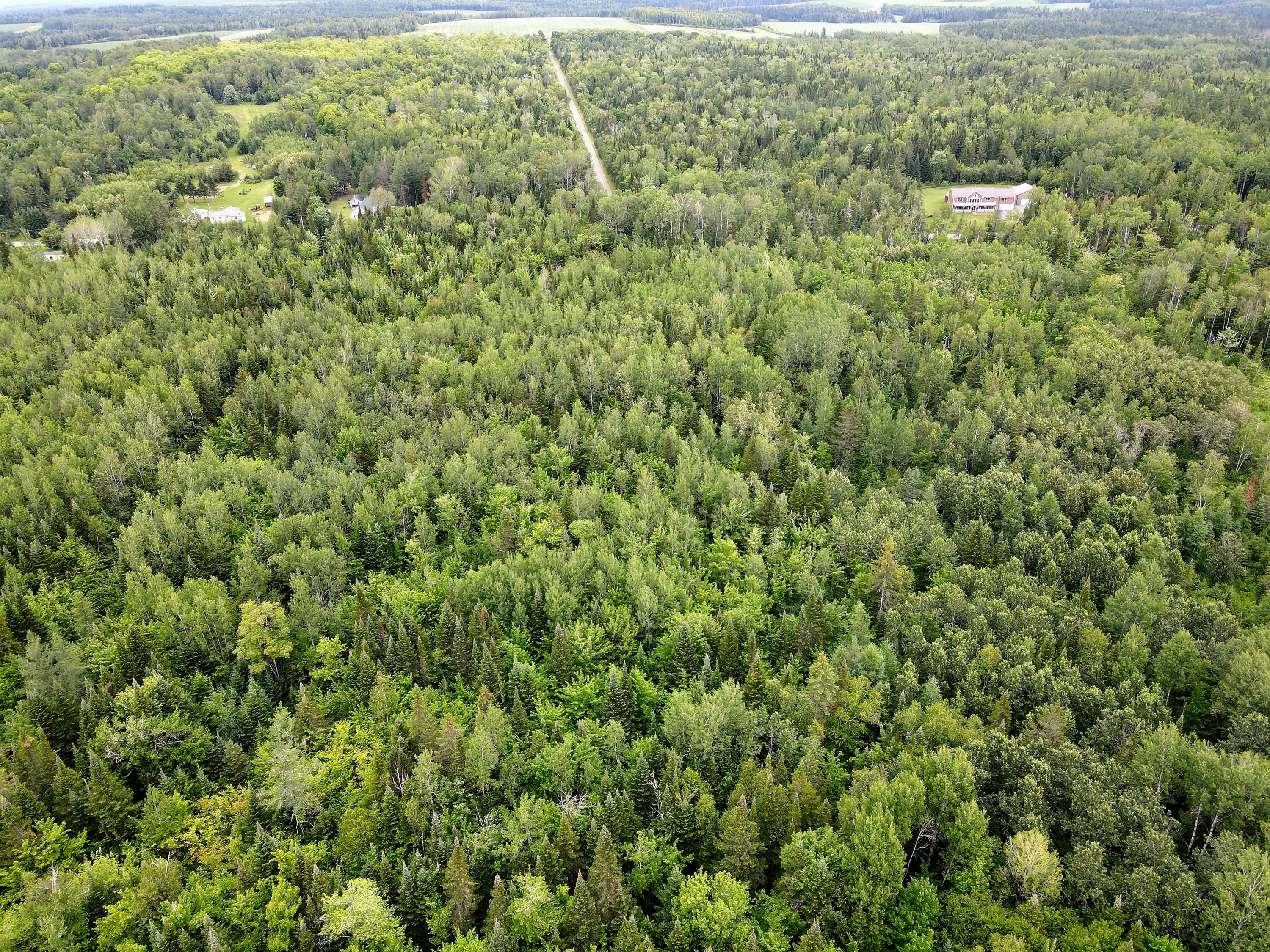 Lot 35.1 Beaulieu Road Caribou, ME 04736 - Photo 6 of 7 Photo_6553725_DJI_125_jpg_8294643_0_2021