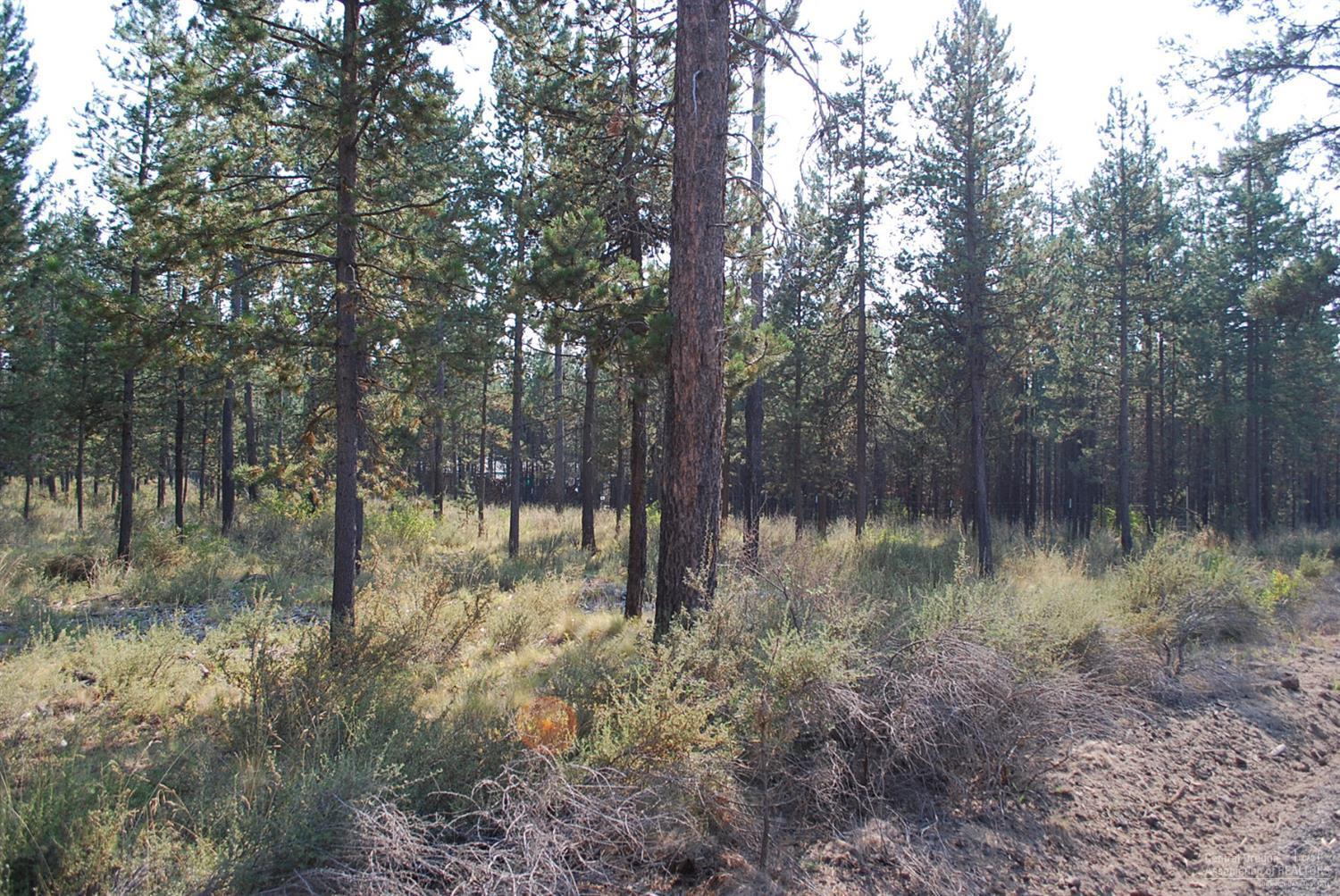 17137 Covina Road Bend, OR 97707 - Photo 11 of 11 Additional Photo