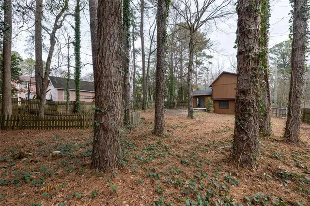 a view of a forest with trees in the background
