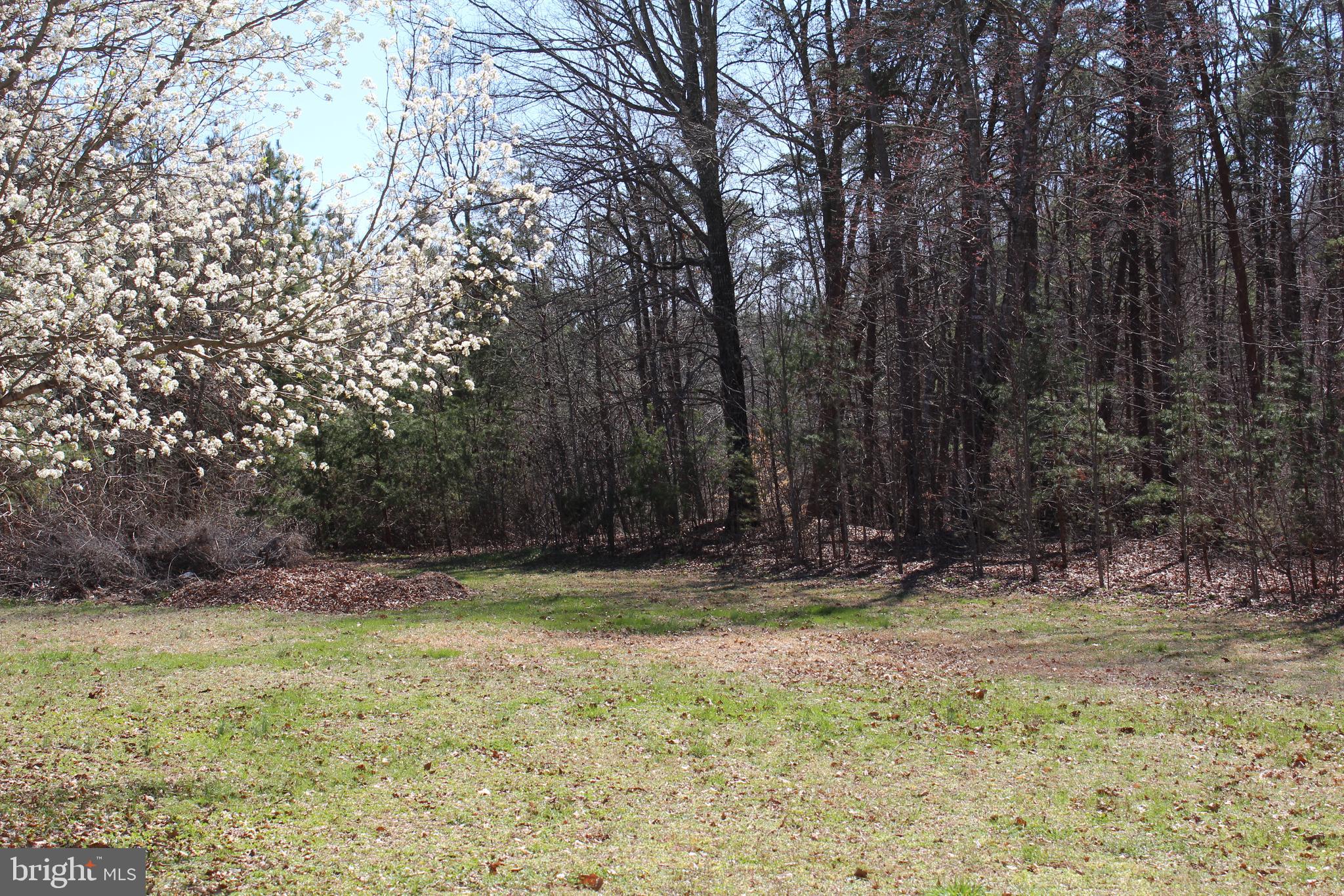 436 Johnny Hall Road Mineral, VA 23117 - Photo 35 of 35 Gallery Image 35