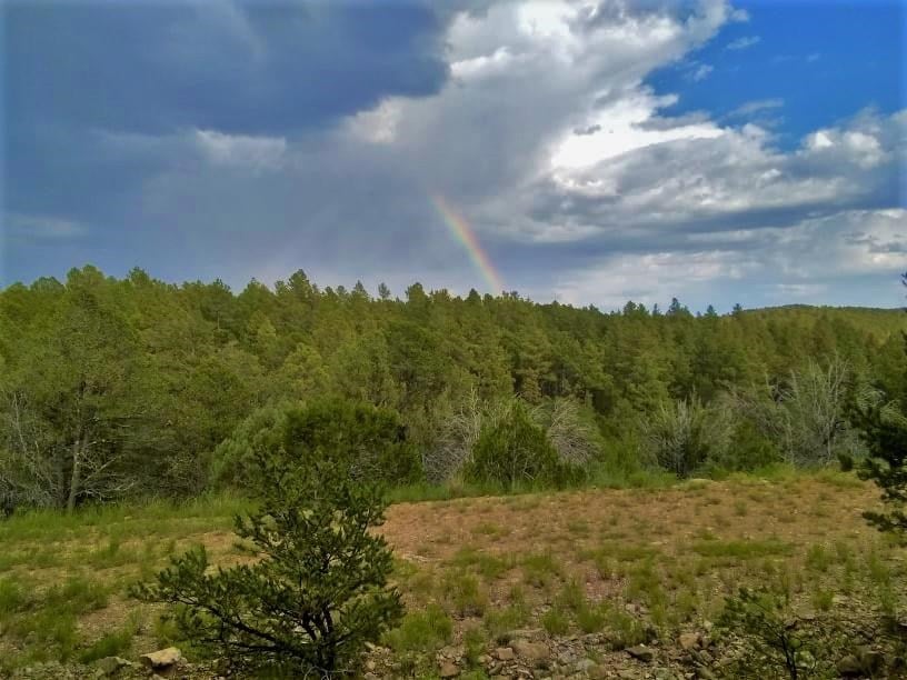 Marlin Drive Timberon, NM 88350 - Photo 1 of 1 Gallery Image 1