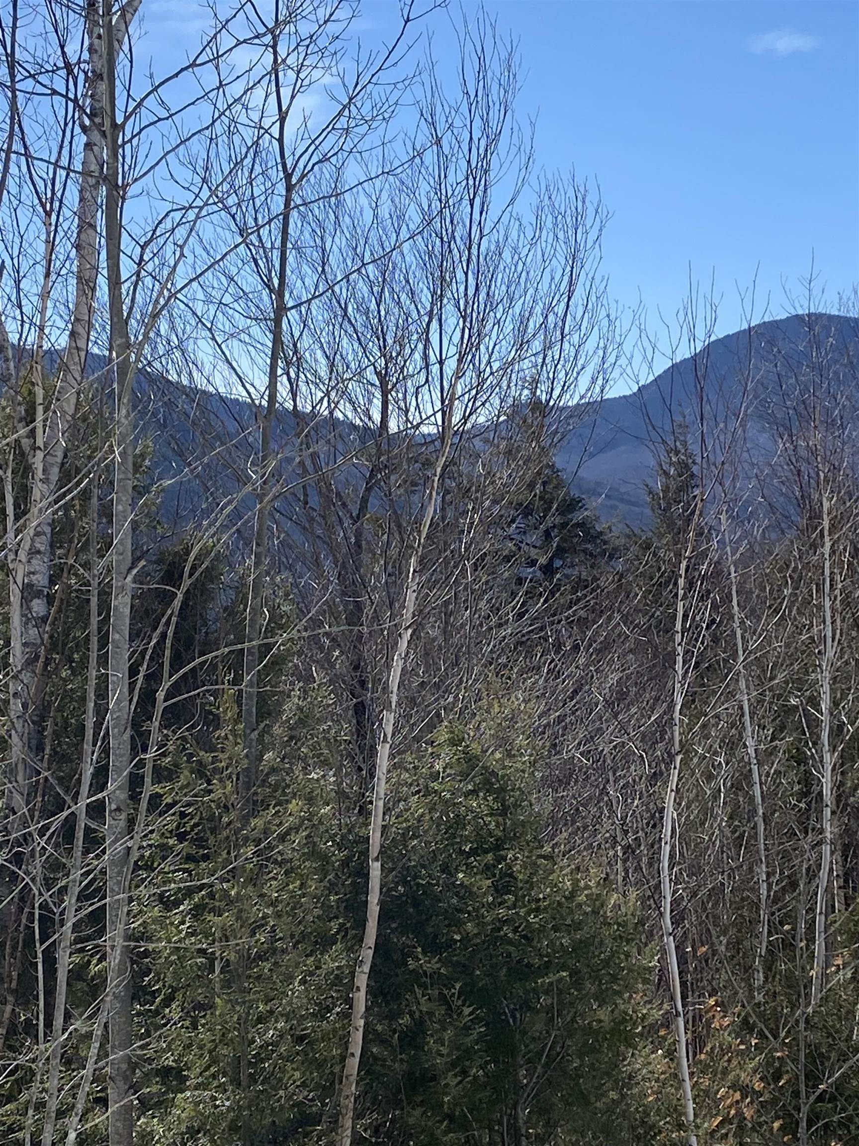 F8 Cave Mountain Road Glen, NH 03838 - Photo 2 of 7