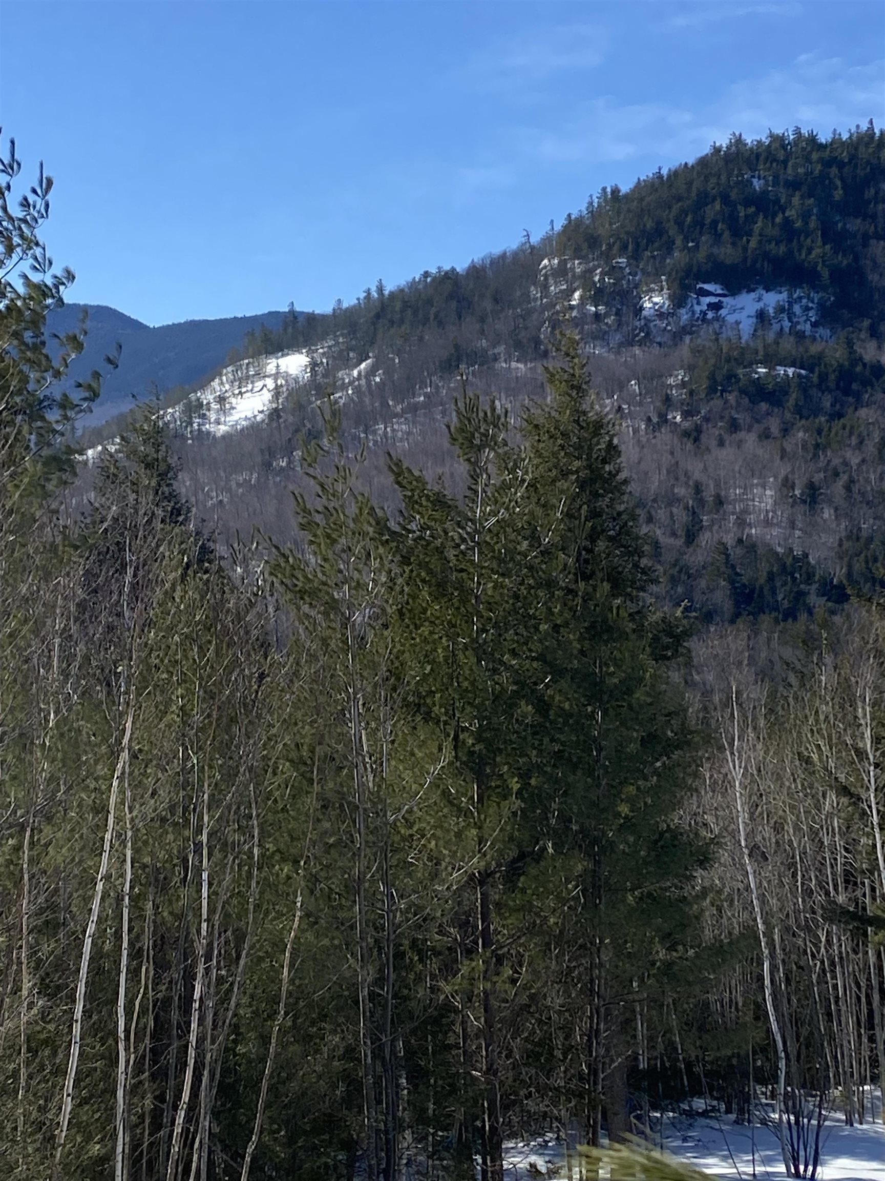 F8 Cave Mountain Road Glen, NH 03838 - Photo 3 of 7