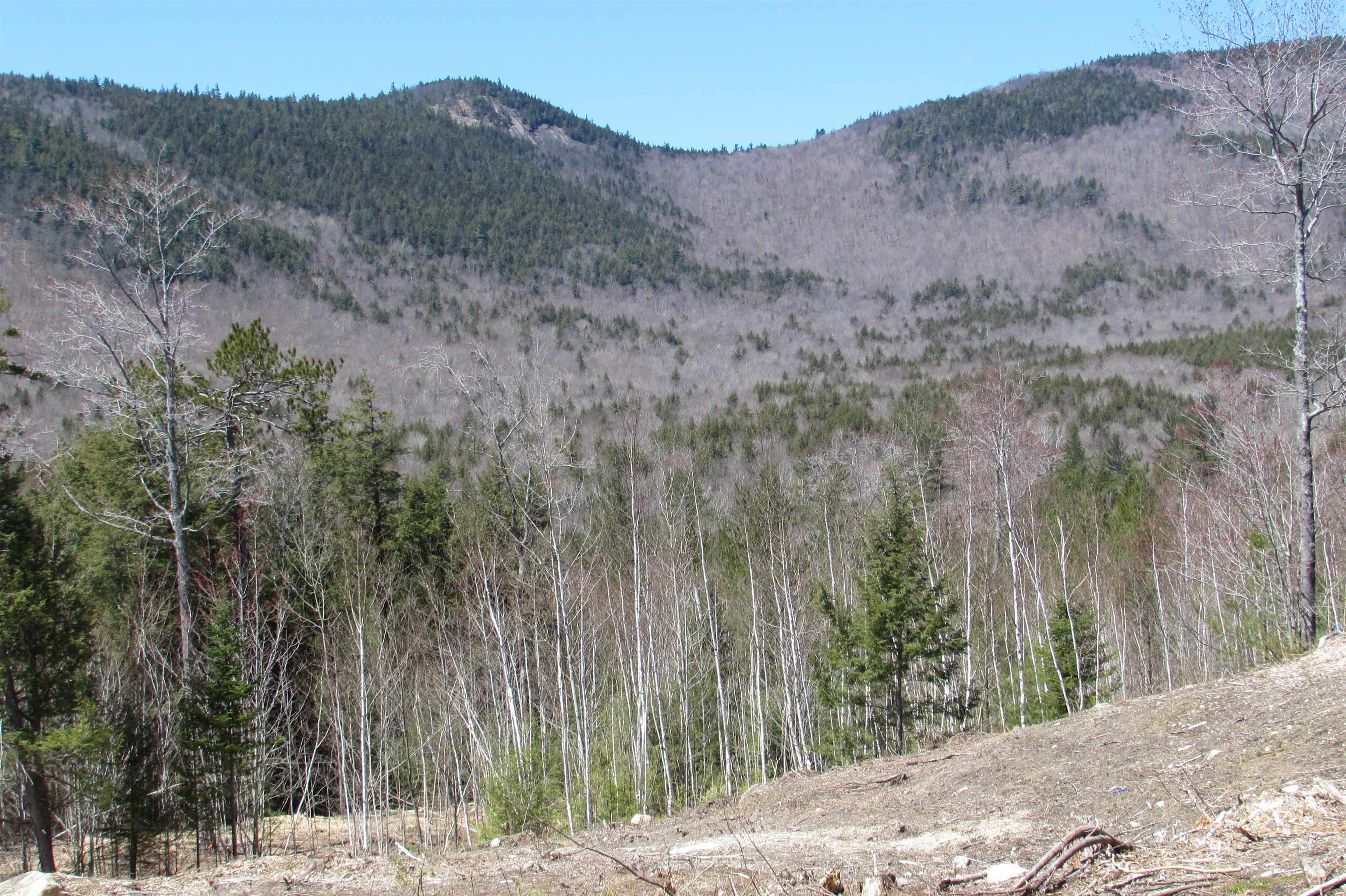 F8 Cave Mountain Road Glen, NH 03838 - Photo 5 of 7