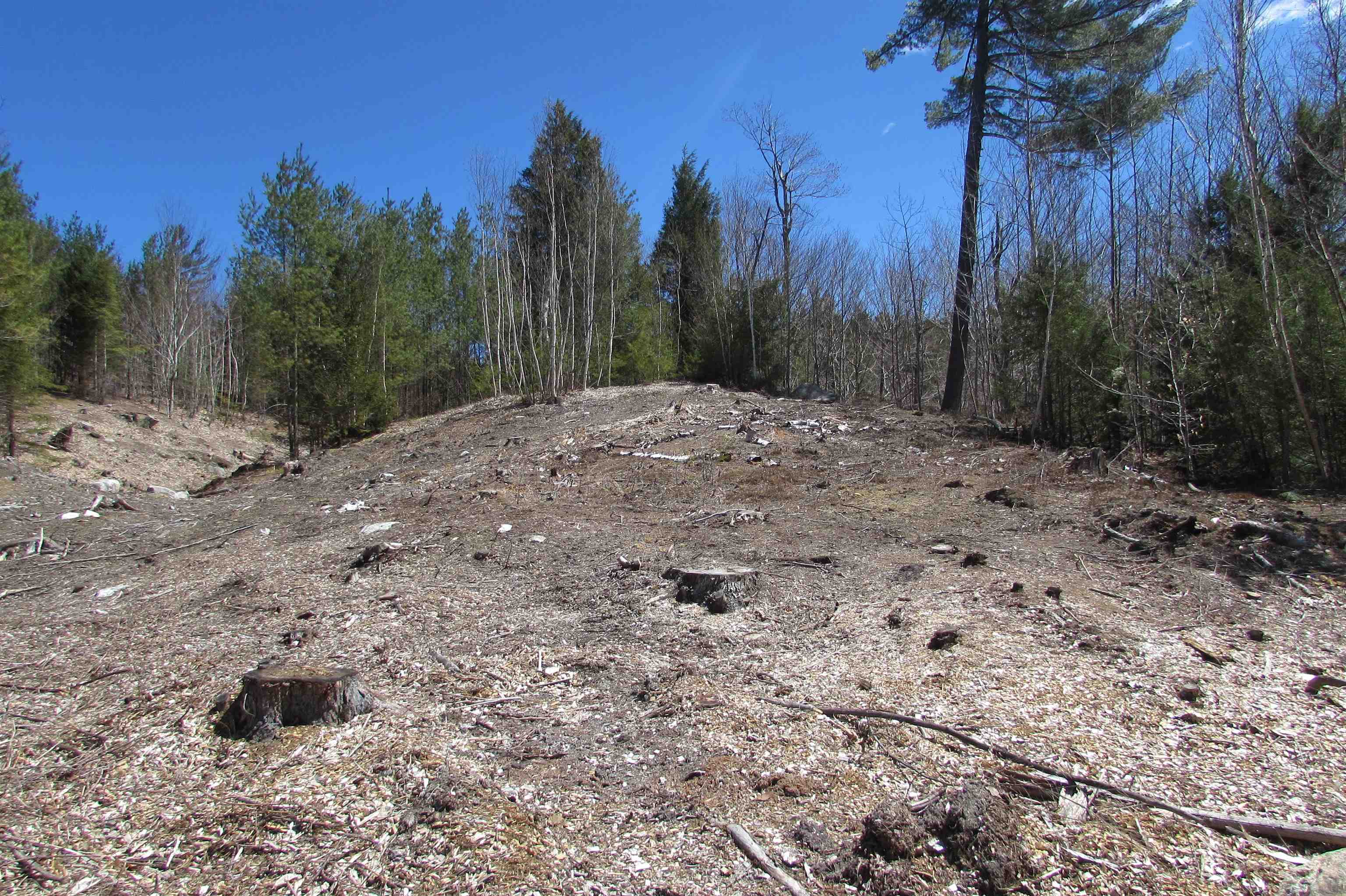 F8 Cave Mountain Road Glen, NH 03838 - Photo 6 of 7