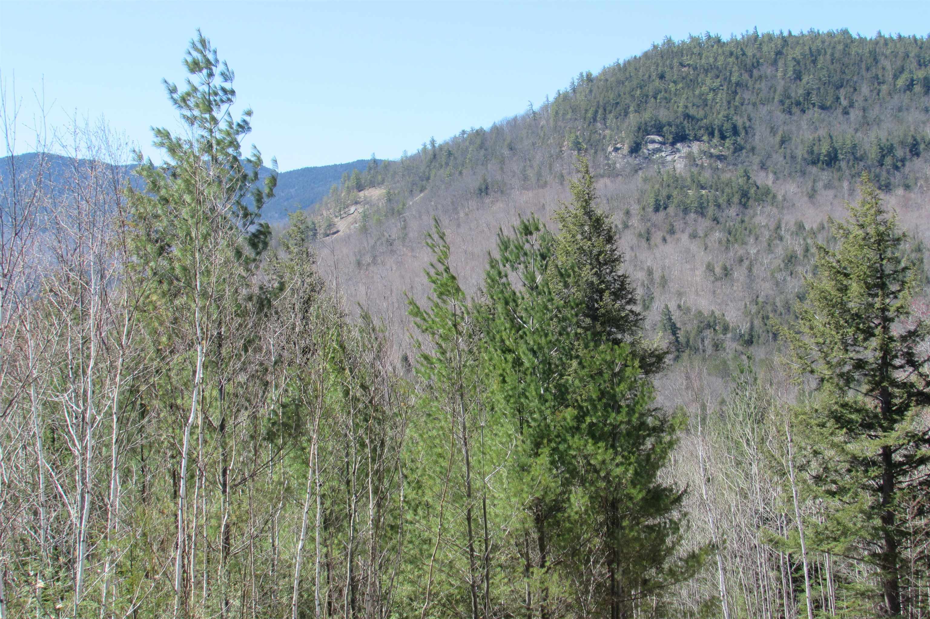 F8 Cave Mountain Road Glen, NH 03838 - Photo 7 of 7