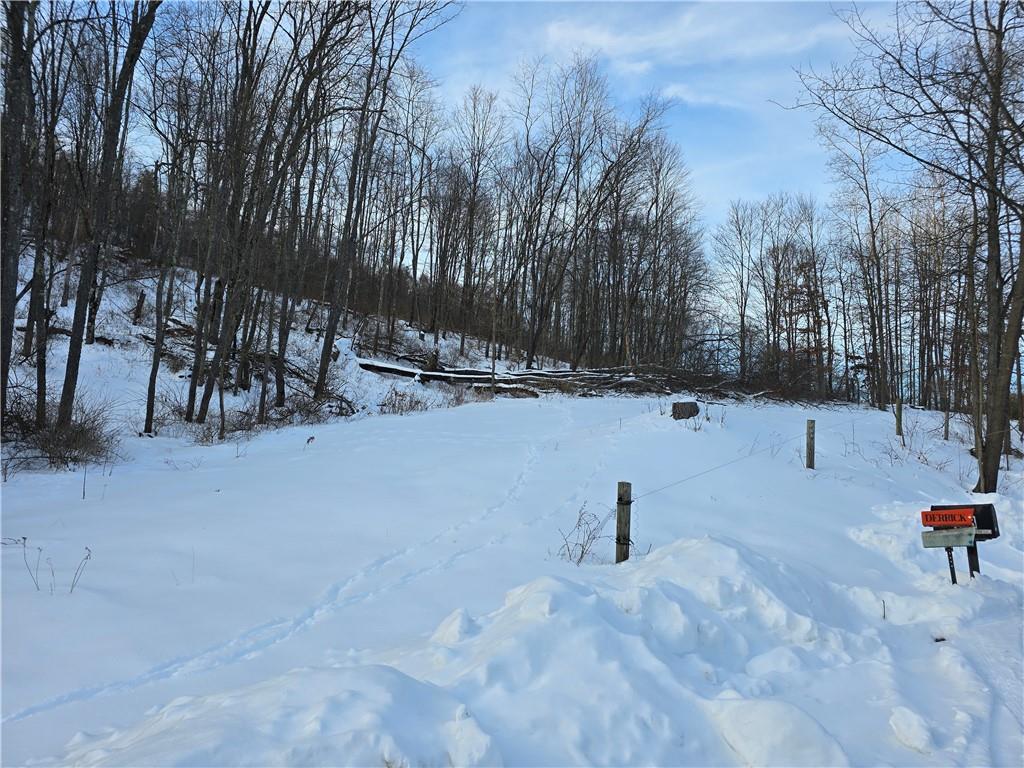 0 Birch Road Mayport, PA 16240 - Photo 2 of 18