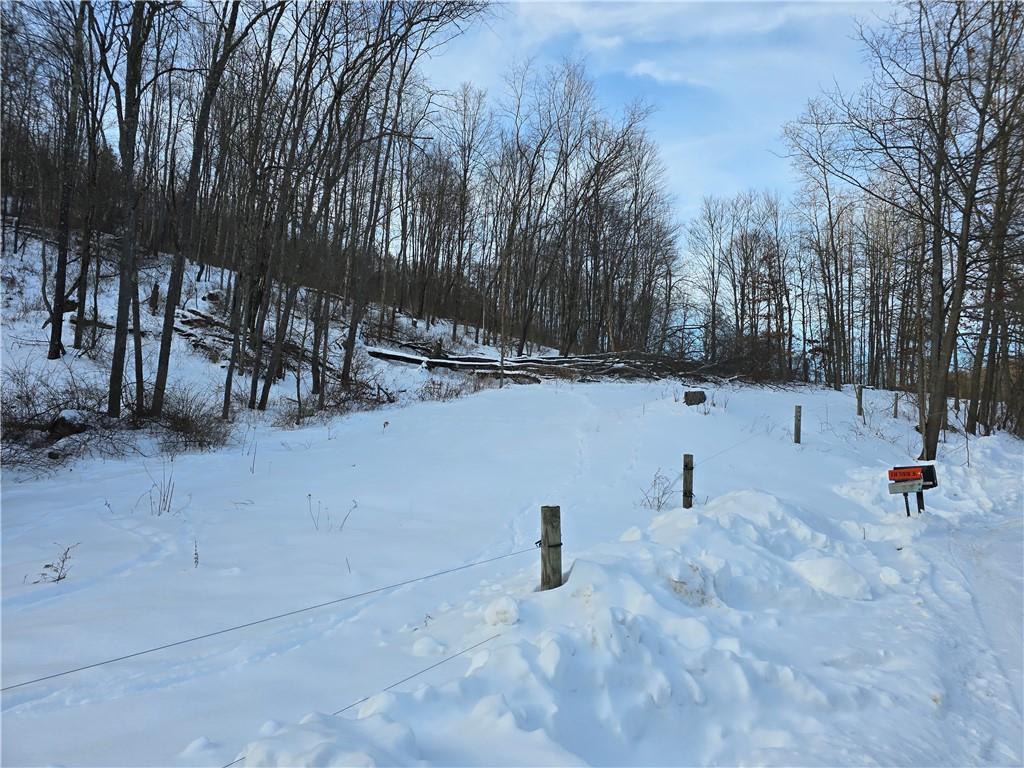 0 Birch Road Mayport, PA 16240 - Photo 3 of 18