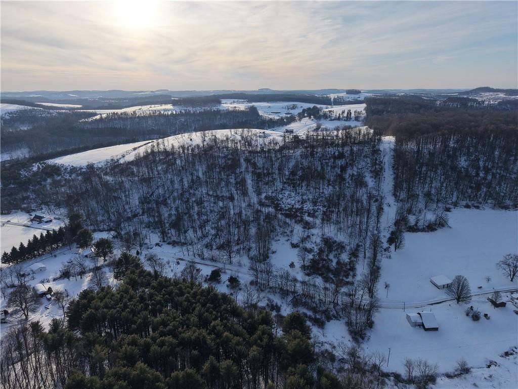 0 Birch Road Mayport, PA 16240 - Photo 5 of 18