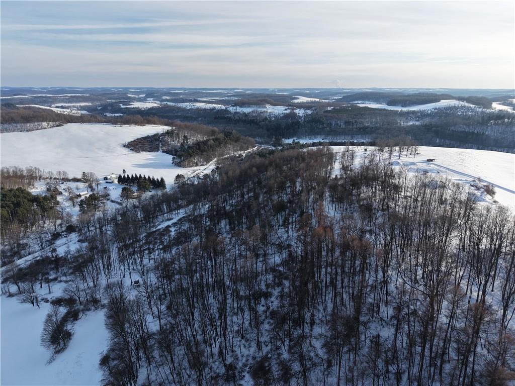 0 Birch Road Mayport, PA 16240 - Photo 7 of 18