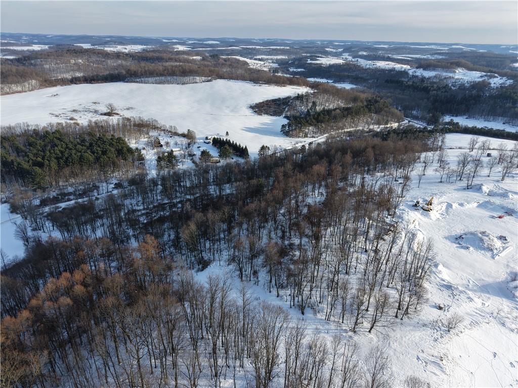 0 Birch Road Mayport, PA 16240 - Photo 8 of 18