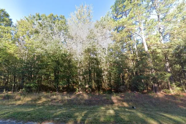 $434,900 | 0 Thirty Five Thirty Five Mile Road, Ridgeville, SC 29472