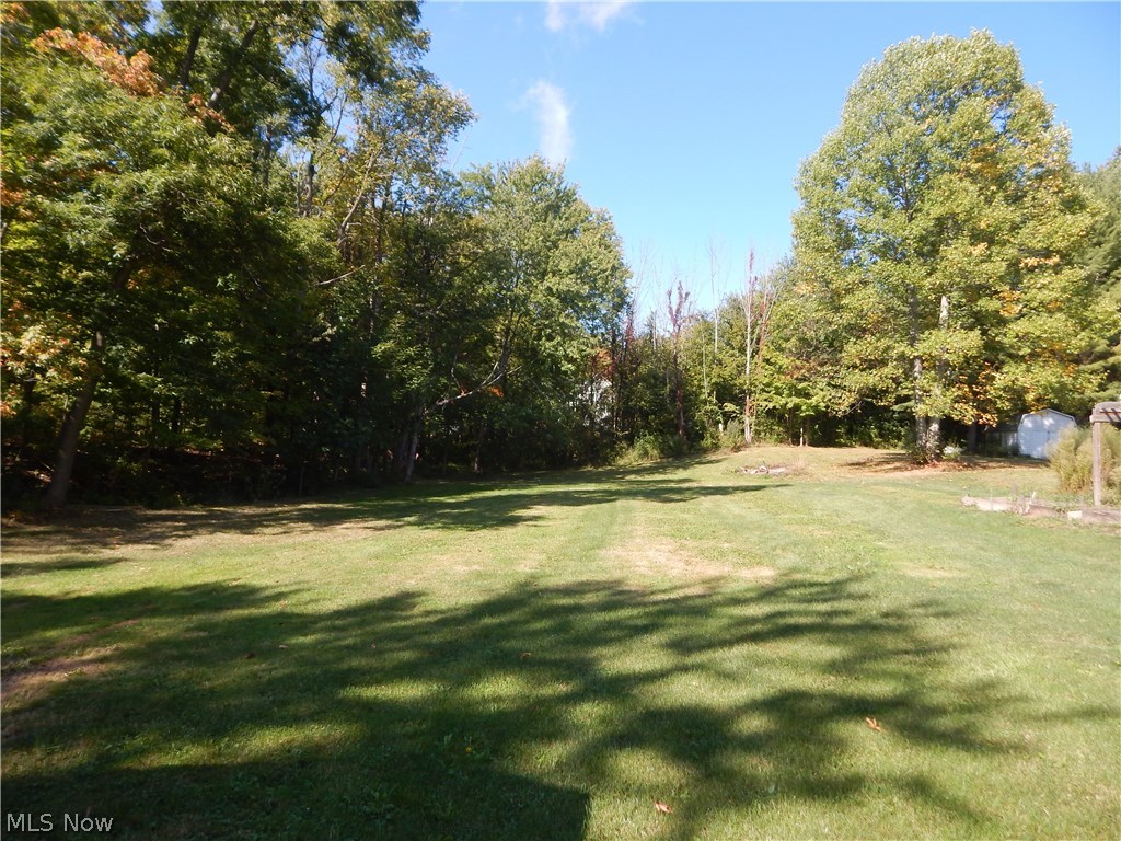 8170 Ballash Road Medina, OH 44256 - Photo 21 of 24 Gallery Image 21