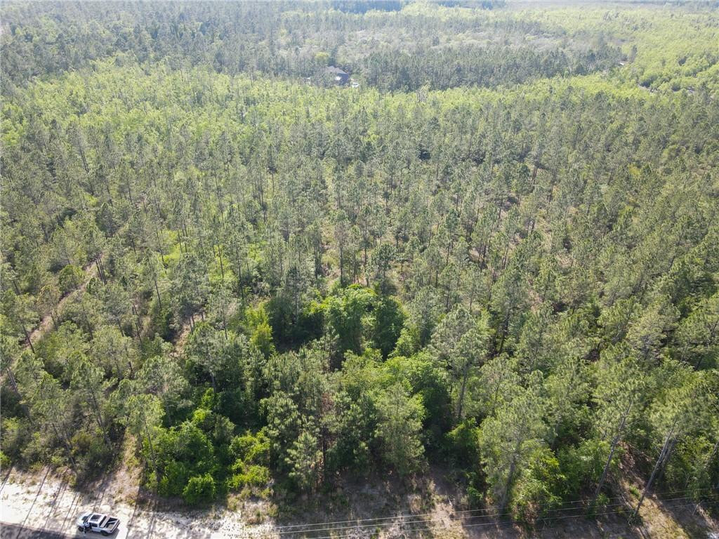5015 Wood Duck Branch Road Blackshear, GA 31516 - Photo 10 of 12