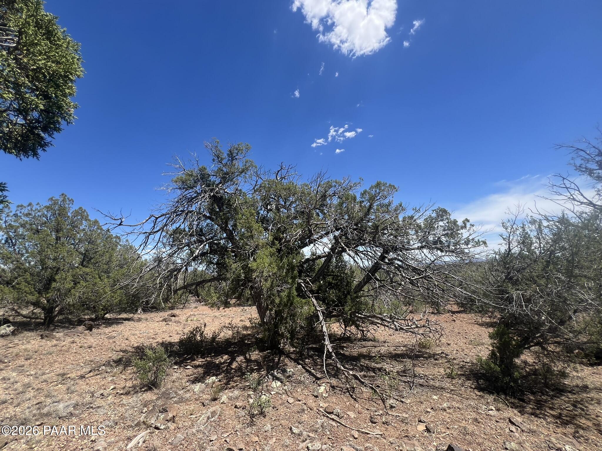 186 Gleed Station Road Ash Fork, AZ 86320 - Photo 3 of 10 IMG_0143