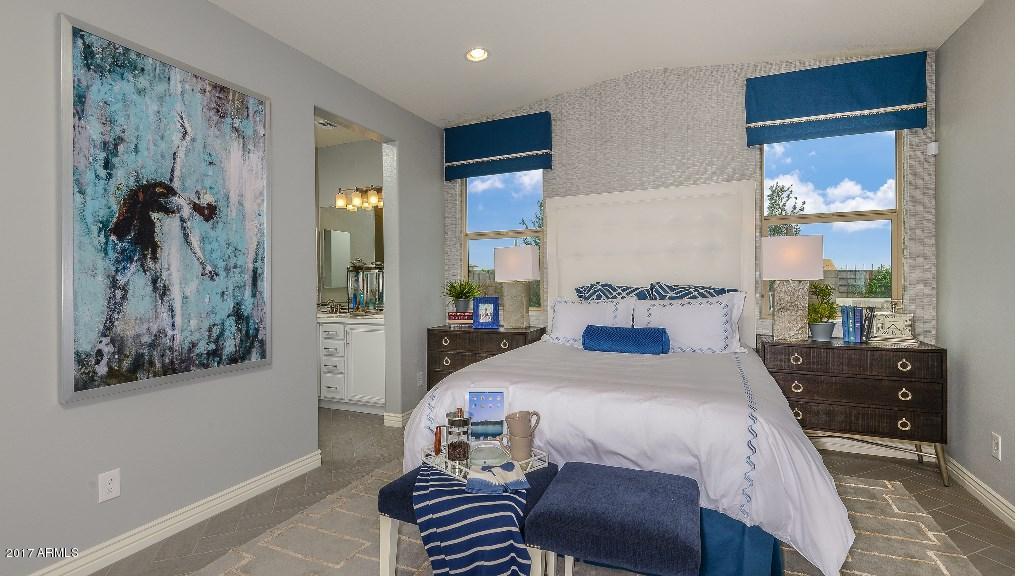 4329 East Morrison Ranch Parkway Gilbert, AZ 85296 - Photo 9 of 12 Elliot-Groves-Discovery-Aster-3440-16x9