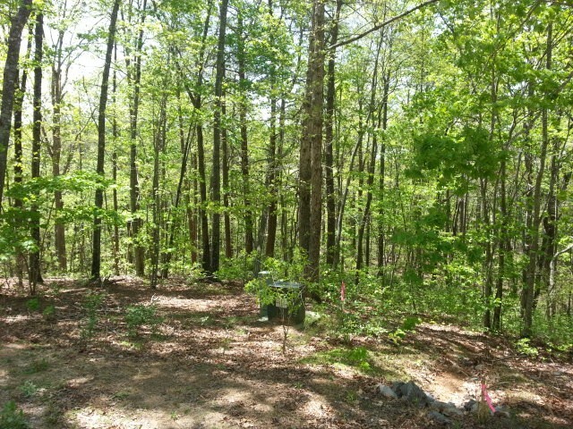 0 High Country Road, Unit 29 Talking Rock, GA 30175 - Photo 1 of 1