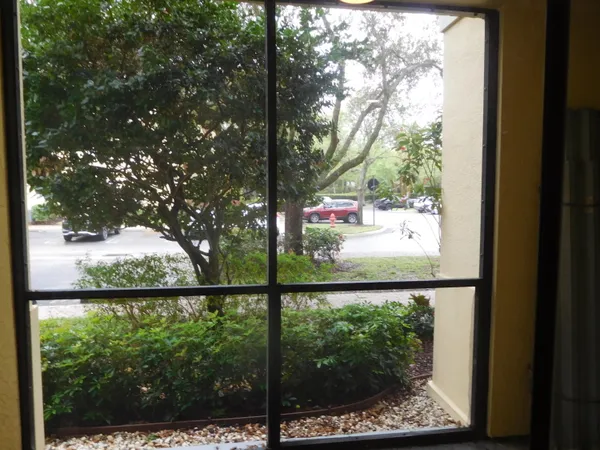 a view of a yard from a window