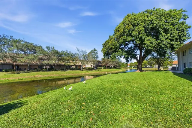 a view of a park with big trees