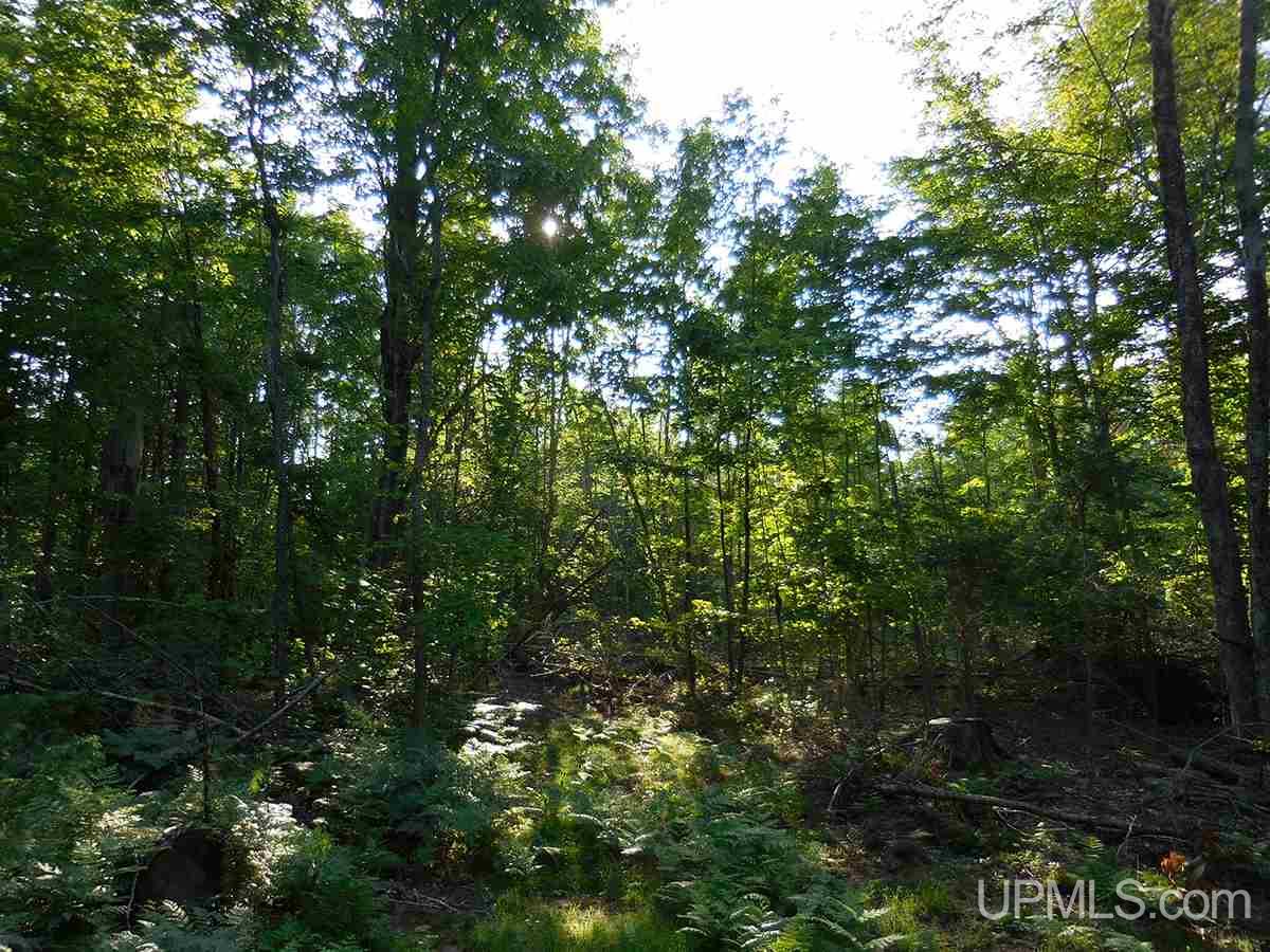Tbd Tee Lake Road Germfask, MI 49836 - Photo 25 of 25