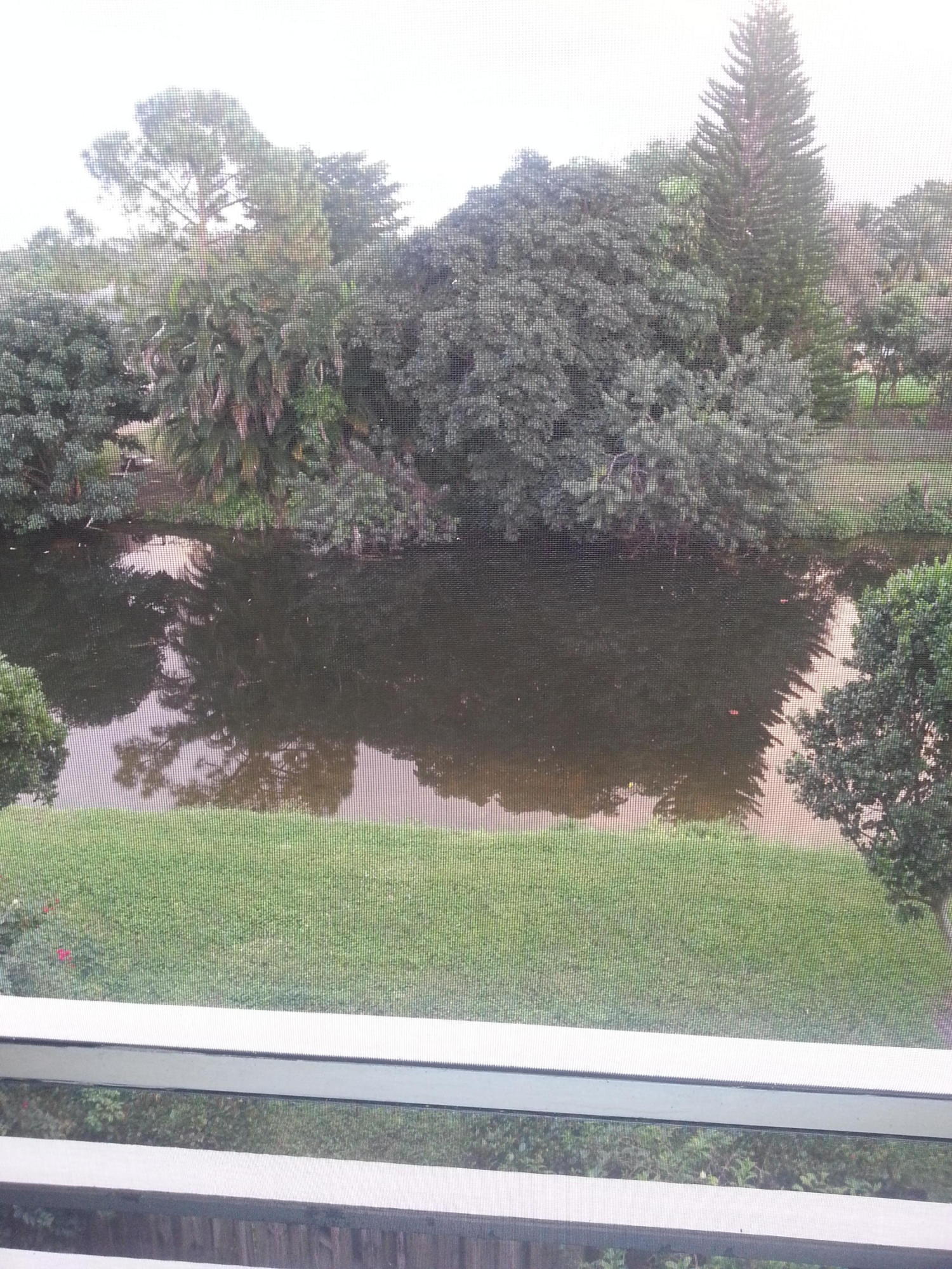 120 Sparrow Drive, Unit 302 Royal Palm Beach, FL 33411 - Photo 9 of 11 View From Patio