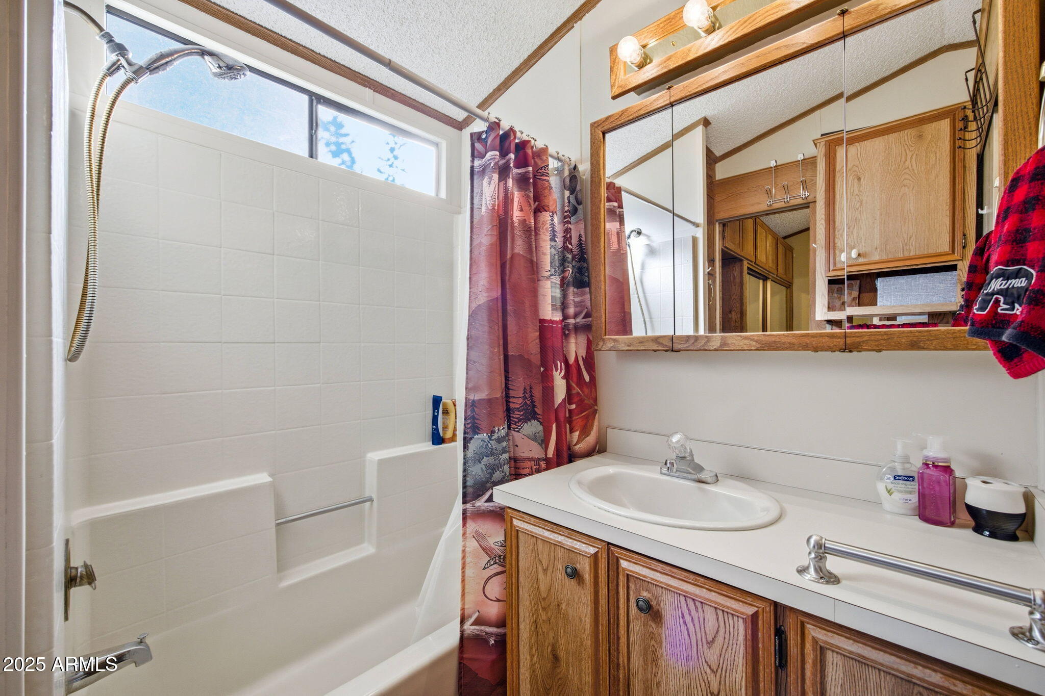 2169 Tenderfoot Trail Overgaard, AZ 85933 - Photo 15 of 30 a bathroom with a sink and a mirror